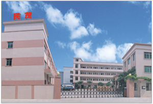 DONG GUAN ATA ELECTRIC LIMITED